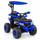 CARRO PARA NIÑO MANIJA